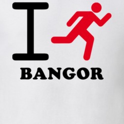 Bangor Franklin County New York State I Love Heart I Run T Shirt 5407834