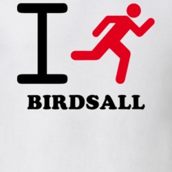 Birdsall Allegany County New York State I Love Heart I Run T Shirt 5408027