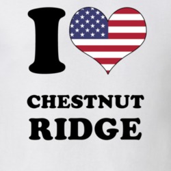 Chestnut Ridge Rockland County New York State I Love Heart USA T Shirt 5408125