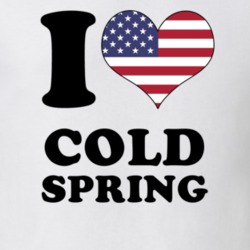 Cold Spring Cattaraugus County New York State I Love Heart USA T Shirt 5408230
