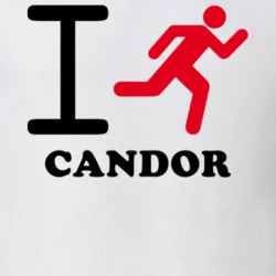 Candor Tioga County New York State I Love Heart I Run T Shirt 5408472