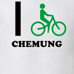 Chemung Chemung County New York State I Love Heart I Bike T Shirt 5409244