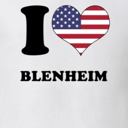 Blenheim Schoharie County New York State I Love Heart USA T Shirt 5409300
