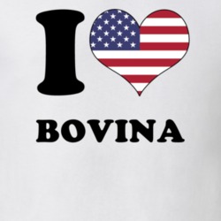 Bovina Delaware County New York State I Love Heart USA T Shirt 5409371