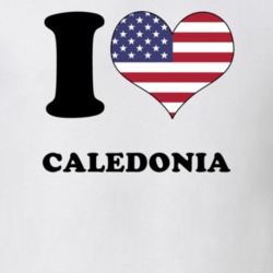Caledonia Livingston County New York State I Love Heart USA T Shirt 5409641
