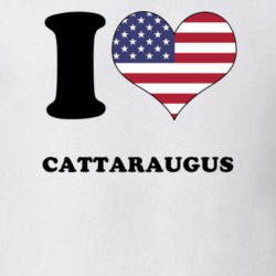 Cattaraugus Cattaraugus County New York State I Love Heart USA T Shirt 5409927