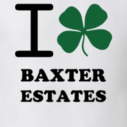 Baxter Estates Nassau County New York State I Love Heart Clover T Shirt 5430991