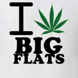 Big Flats Chemung County New York State I Love Heart Weed T Shirt 5431017