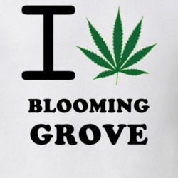 Blooming Grove Orange County New York State I Love Heart Weed T Shirt 5431038
