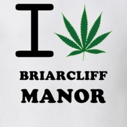Briarcliff Manor Westchester County New York State I Love Heart Weed T Shirt 5431167