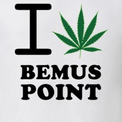 Bemus Point Chautauqua County New York State I Love Heart Weed T Shirt 5431242