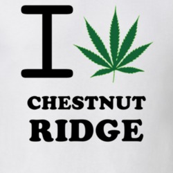 Chestnut Ridge Rockland County New York State I Love Heart Weed T Shirt 5431262
