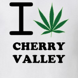 Cherry Valley Otsego County New York State I Love Heart Weed T Shirt 5431325