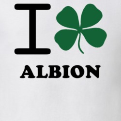 Albion Oswego County New York State I Love Heart Clover T Shirt 5431366