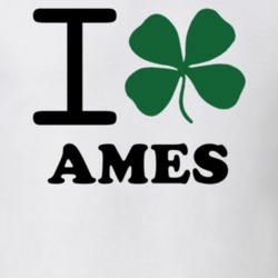 Ames Montgomery County New York State I Love Heart Clover T Shirt 5431399