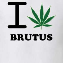 Brutus Cayuga County New York State I Love Heart Weed T Shirt 5431639