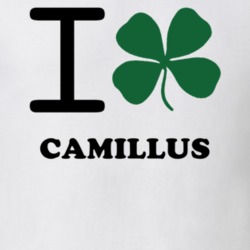 Camillus Onondaga County New York State I Love Heart Clover T Shirt 5431644