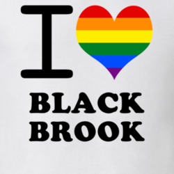 Black Brook Clinton County New York State I Love Heart Gay Pride T Shirt 5441651