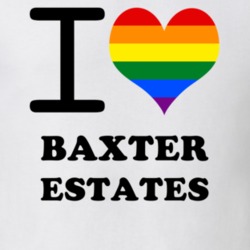 Baxter Estates Nassau County New York State I Love Heart Gay Pride T Shirt 5441722