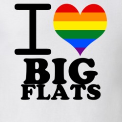 Big Flats Chemung County New York State I Love Heart Gay Pride T Shirt 5441769