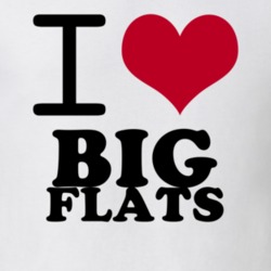 Big Flats Chemung County New York State I Love Heart Adore T Shirt 5441799