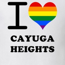 Cayuga Heights Tompkins County New York State I Love Heart Gay Pride T Shirt 5441853