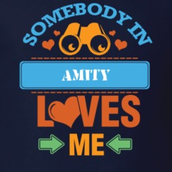 Amity Allegany County New York State Somebody In Loves Me T Shirt 5441860