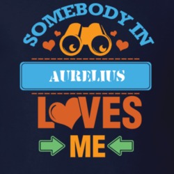 Aurelius Cayuga County New York State Somebody In Loves Me T Shirt 5441953