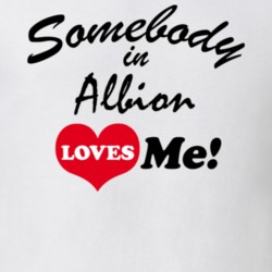 Albion Orleans County New York State Somebody In Loves Me Adore T Shirt 5441956