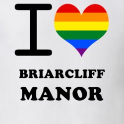 Briarcliff Manor Westchester County New York State I Love Heart Gay Pride T Shirt 5441990