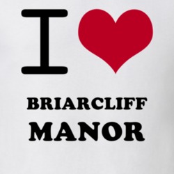 Briarcliff Manor Westchester County New York State I Love Heart Adore T Shirt 5442029