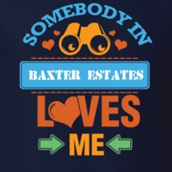 Baxter Estates Nassau County New York State Somebody In Loves Me T Shirt 5442043