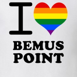 Bemus Point Chautauqua County New York State I Love Heart Gay Pride T Shirt 5442144