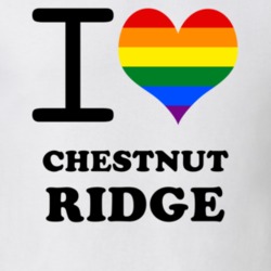 Chestnut Ridge Rockland County New York State I Love Heart Gay Pride T Shirt 5442187