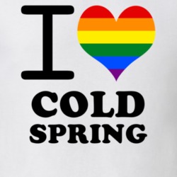 Cold Spring Cattaraugus County New York State I Love Heart Gay Pride T Shirt 5442242
