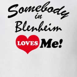 Blenheim Schoharie County New York State Somebody In Loves Me Adore T Shirt 5442353