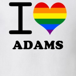 Adams Jefferson County New York State I Love Heart Gay Pride T Shirt 5442399