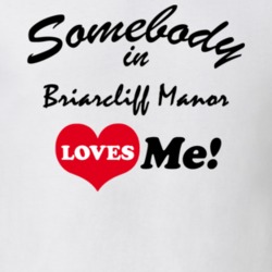 Briarcliff Manor Westchester County New York State Somebody In Loves Me Adore T Shirt 5442421