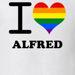 Alfred Allegany County New York State I Love Heart Gay Pride T Shirt 5442448