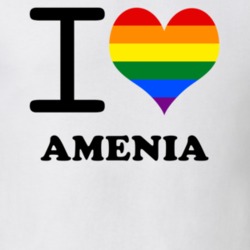 Amenia Dutchess County New York State I Love Heart Gay Pride T Shirt 5442490