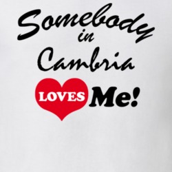 Cambria Niagara County New York State Somebody In Loves Me Adore T Shirt 5442549