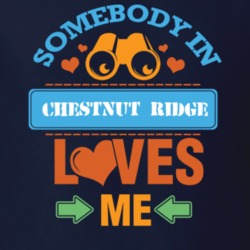 Chestnut Ridge Rockland County New York State Somebody In Loves Me T Shirt 5442601