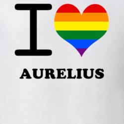 Aurelius Cayuga County New York State I Love Heart Gay Pride T Shirt 5442608