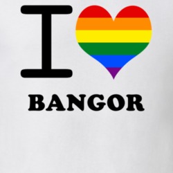 Bangor Franklin County New York State I Love Heart Gay Pride T Shirt 5442660
