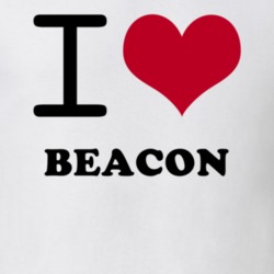 Beacon Dutchess County New York State I Love Heart Adore T Shirt 5442723