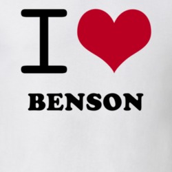 Benson Hamilton County New York State I Love Heart Adore T Shirt 5442764