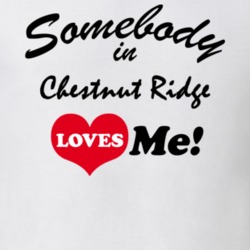 Chestnut Ridge Rockland County New York State Somebody In Loves Me Adore T Shirt 5442801