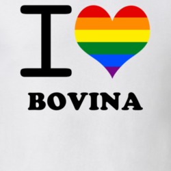 Bovina Delaware County New York State I Love Heart Gay Pride T Shirt 5442827