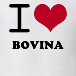 Bovina Delaware County New York State I Love Heart Adore T Shirt 5442851