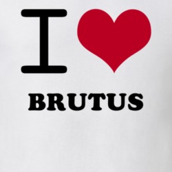 Brutus Cayuga County New York State I Love Heart Adore T Shirt 5442943